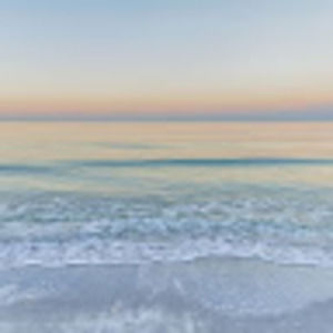 Meet your Posher, Cassidy